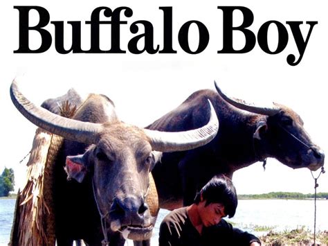  “The Buffalo Boy”：A Tale of Cleverness and Unexpected Transformations!