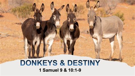  The Donkey's Destiny!：一個關於逆境、智慧和友誼的埃及民俗故事